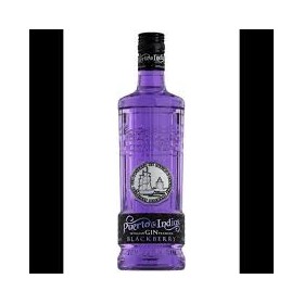 gin puerto de indias blackberry 1l