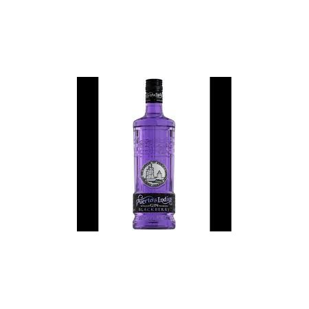 gin puerto de indias blackberry 1l