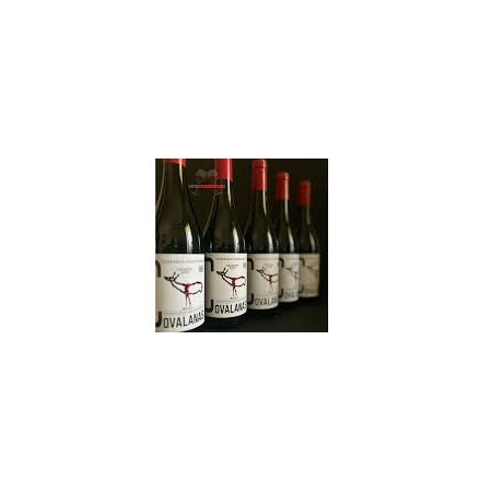 vino covalanas crianza 2021 75cl