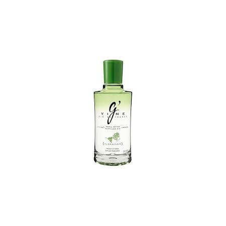 ginebra gvine 70 cl
